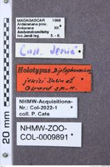 Etiketten zu Abelater novotnyi (NHMW-ZOO-COL-0009891)